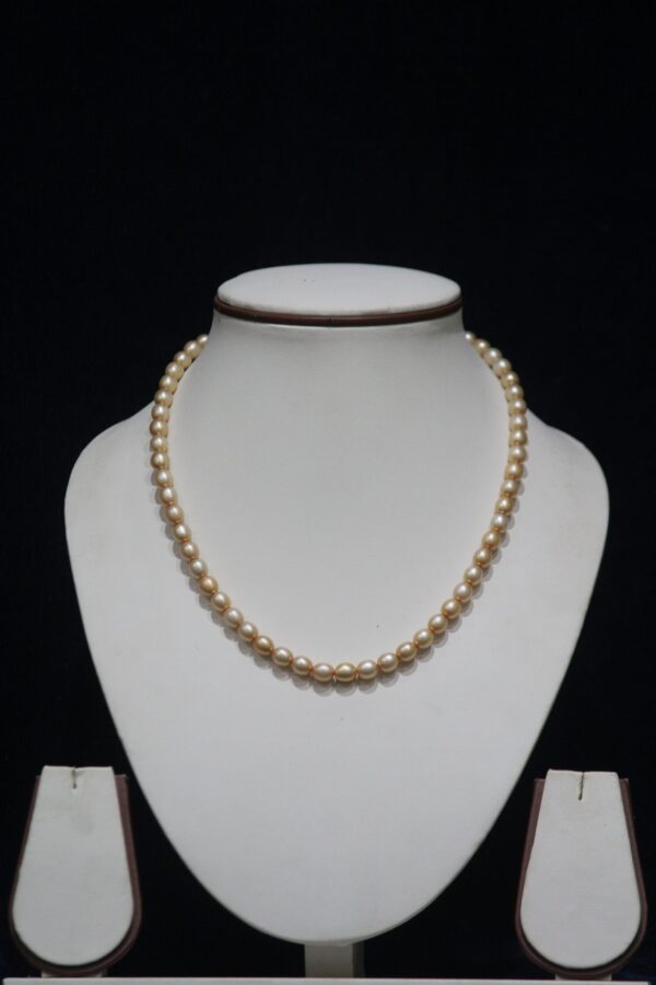 Elegant Pearl Necklace - A sophisticated necklace featuring lustrous pearls, perfect for adding a touch of timeless beauty and refinement to any outfit.